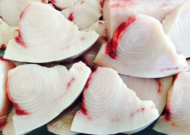 All the Fishy News... Jan 25th 2017